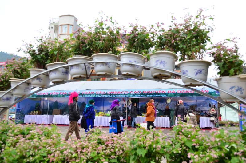 Lễ hội Tam Giác Mạch Hà Giang lần III